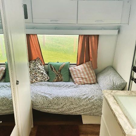 Cosy Caravan At Carrigeen Glamping Hotel Kilkenny Ngoại thất bức ảnh