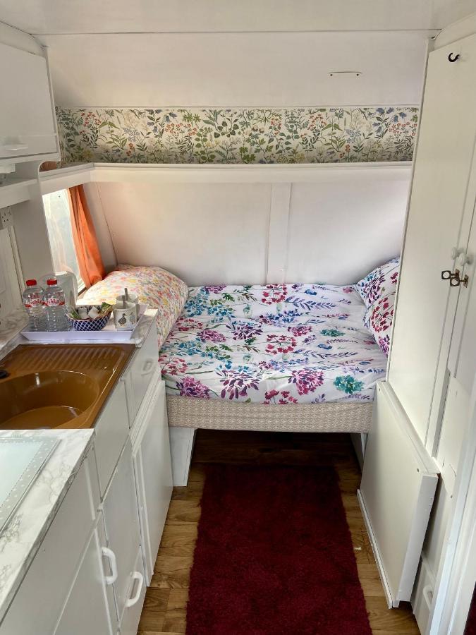 Cosy Caravan At Carrigeen Glamping Hotel Kilkenny Ngoại thất bức ảnh
