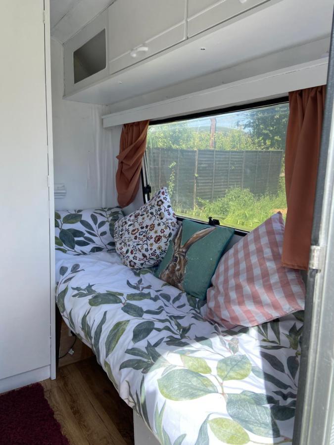 Cosy Caravan At Carrigeen Glamping Kilkenny Ngoại thất bức ảnh